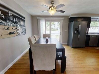 15 Northside Ct, Haverhill, MA 01830 - dining room with plenty of natural light, a ceiling fan, and light wood finished floors