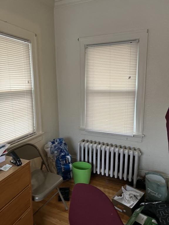 interior space with hardwood / wood-style floors and radiator