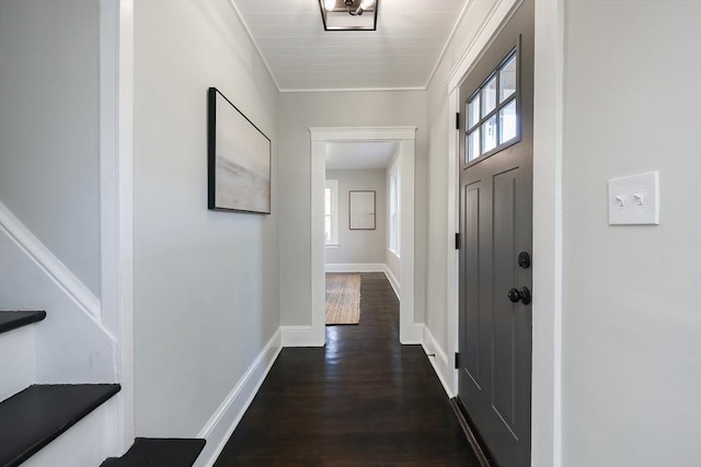 interior space featuring crown molding and dark hardwood / wood-style flooring