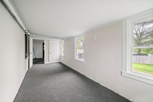 unfurnished room featuring carpet floors