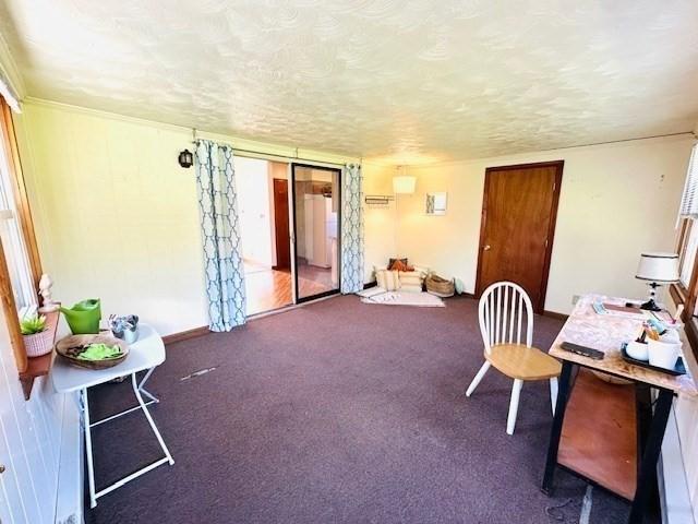 carpeted home office with baseboards and plenty of natural light