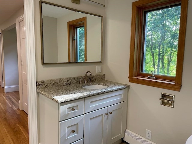 bathroom featuring a wealth of natural light, hardwood / wood-style flooring, and vanity