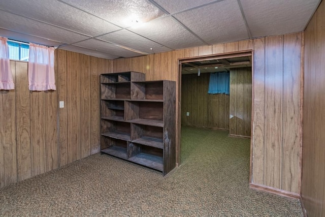 below grade area featuring wood walls and carpet