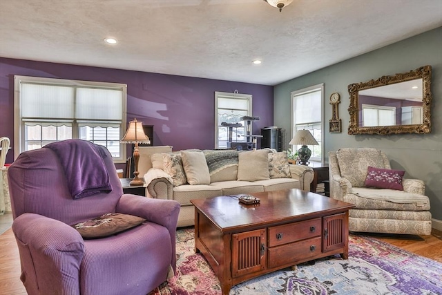 219-221 Wilson St Unit 1, Haverhill, MA 01832 - living area featuring wood finished floors, recessed lighting, and baseboards