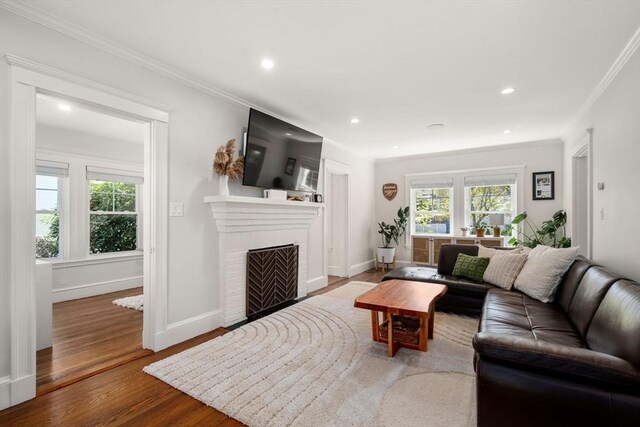 living room with ornamental molding, a healthy amount of sunlight, and wood finished floors