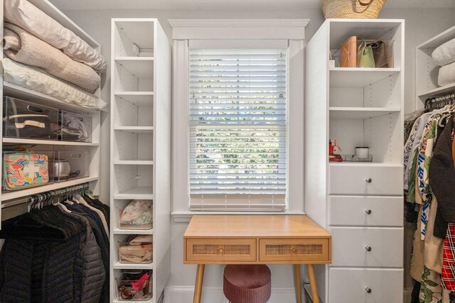 view of walk in closet