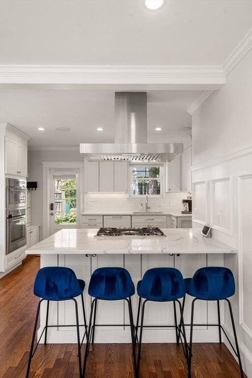 kitchen featuring a sink, ornamental molding, stainless steel appliances, and island range hood