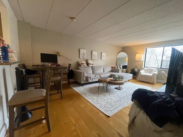 living room featuring light hardwood / wood-style flooring