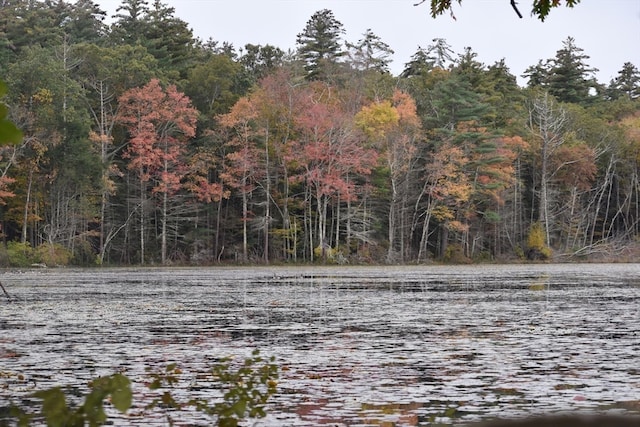 view of local wilderness