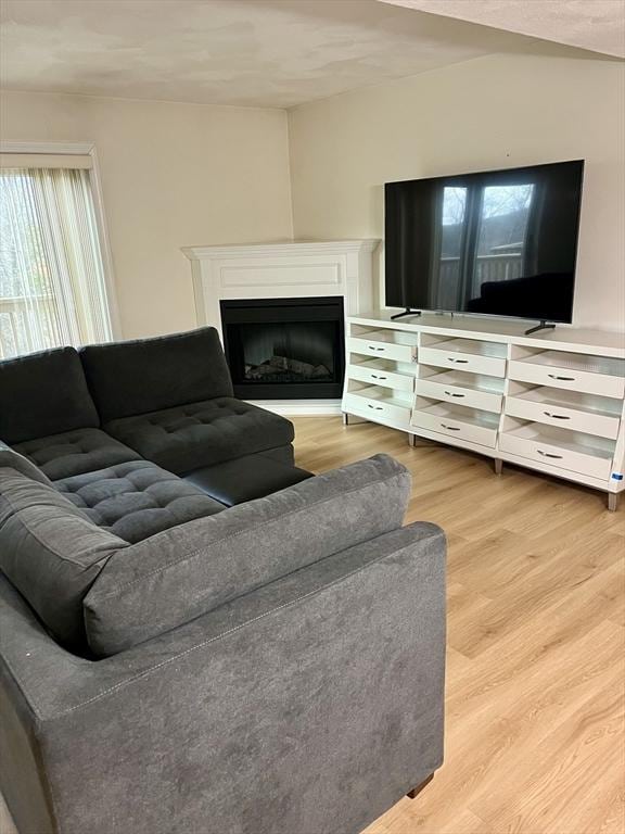 living room featuring a fireplace and wood finished floors