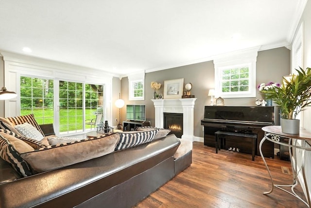 21 Carla Ln, Wilbraham, MA 01095 - living room featuring crown molding, wood finished floors, a warm lit fireplace, and recessed lighting
