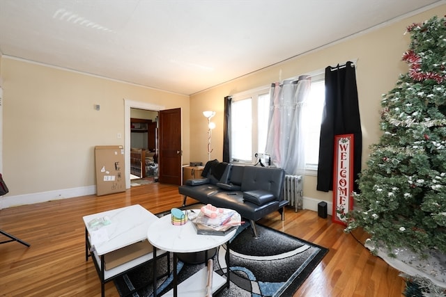 living room featuring radiator heating unit, light hardwood / wood-style flooring, and ornamental molding