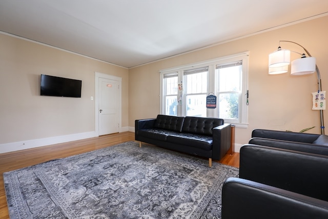 living room featuring hardwood / wood-style flooring