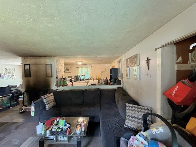 46 Barry Rd, Worcester, MA 01609 - carpeted living area with a textured ceiling
