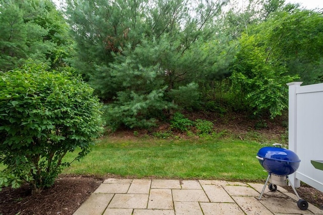 view of yard with a patio area