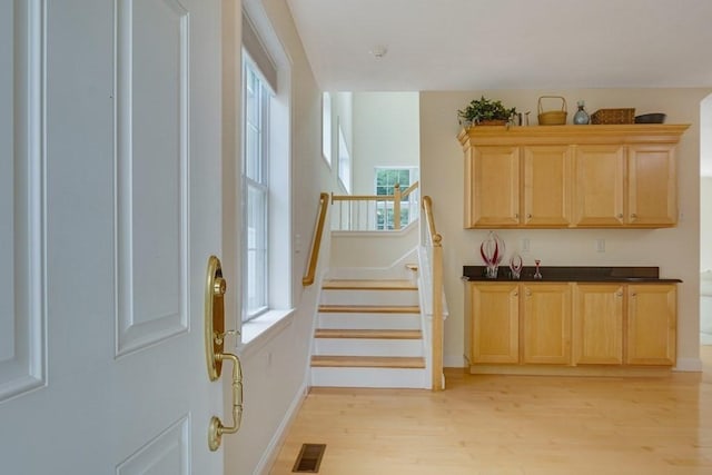 interior space featuring light wood-type flooring and a healthy amount of sunlight