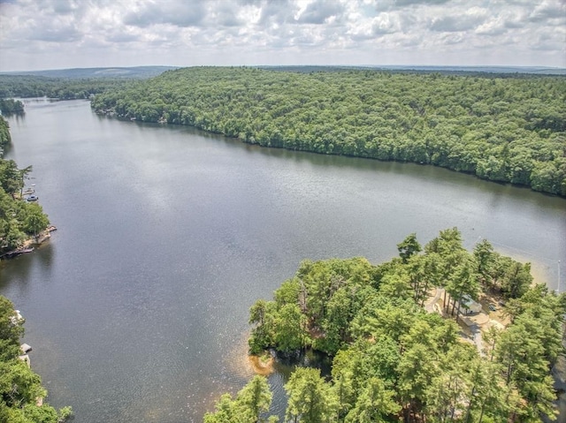 6 Hillcrest Dr, Hopkinton, MA 01748 - aerial view of a forest and a large body of water