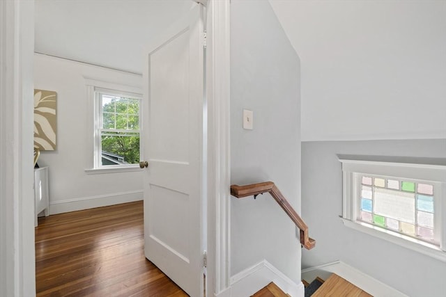 40 S Crescent Circuit, Boston, MA 02135 - stairs featuring wood finished floors and baseboards
