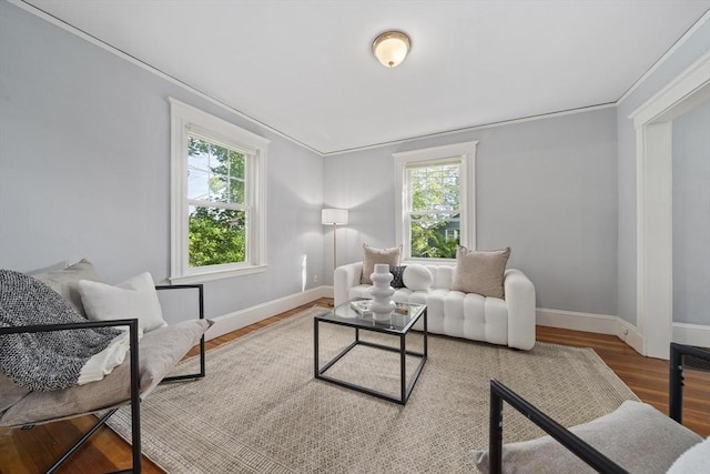 40 S Crescent Circuit, Boston, MA 02135 - living room featuring healthy amount of natural light, baseboards, wood finished floors, and crown molding
