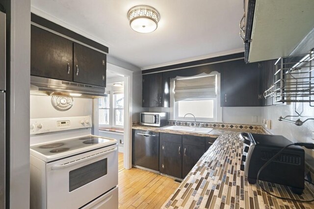 kitchen with a sink, dishwasher, white electric range oven, under cabinet range hood, and stainless steel microwave