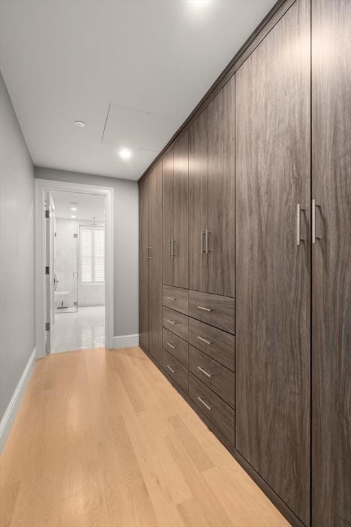 walk in closet featuring light wood-type flooring