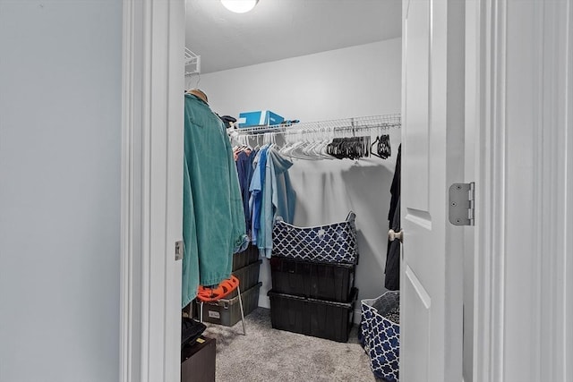 walk in closet featuring carpet flooring