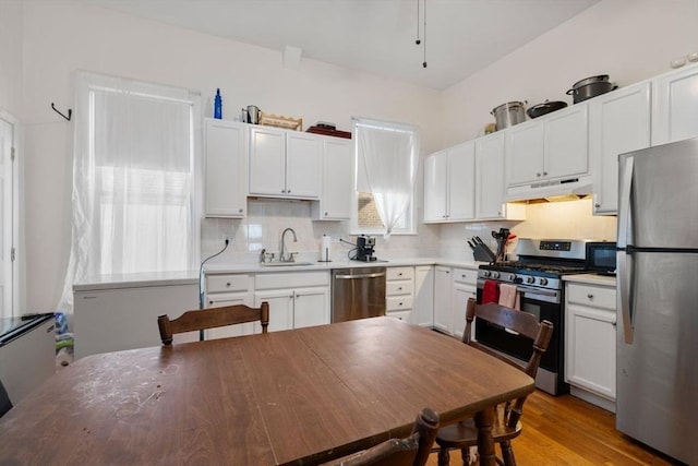 kitchen featuring stainless steel appliances, under cabinet range hood, a sink, and decorative backsplash