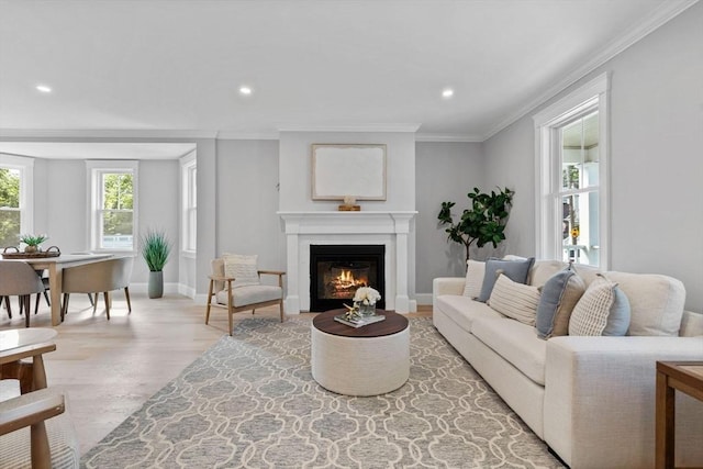 73 Knoll St Unit 73, Boston, MA 02131 - living area featuring light wood finished floors, a glass covered fireplace, recessed lighting, and crown molding