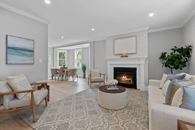 73 Knoll St Unit 73, Boston, MA 02131 - living area featuring wood finished floors, crown molding, a glass covered fireplace, and recessed lighting
