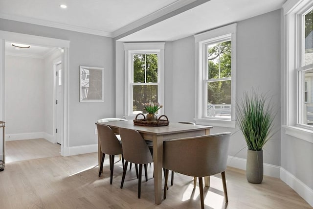73 Knoll St Unit 73, Boston, MA 02131 - dining room featuring light wood-style floors, healthy amount of natural light, recessed lighting, and crown molding