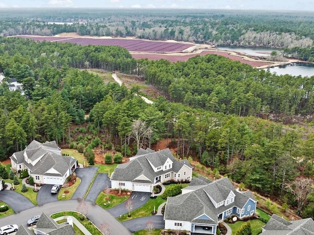 54 Sunflower Way, Plymouth, MA 02360 - drone / aerial view of a forest and a nearby body of water