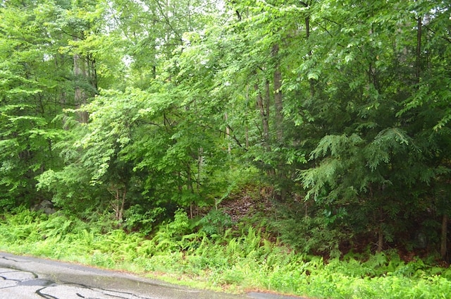 Listing photo 2 for LOT7 Monson Turnpike Rd, Ware MA 01082