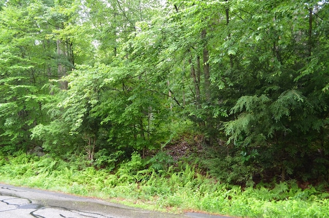 Listing photo 3 for LOT7 Monson Turnpike Rd, Ware MA 01082