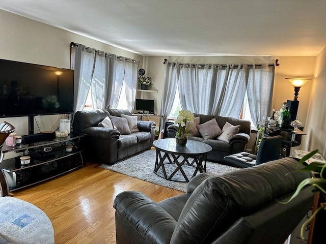 334 Howard St Unit 5, Lawrence, MA 01841 - living room with wood finished floors