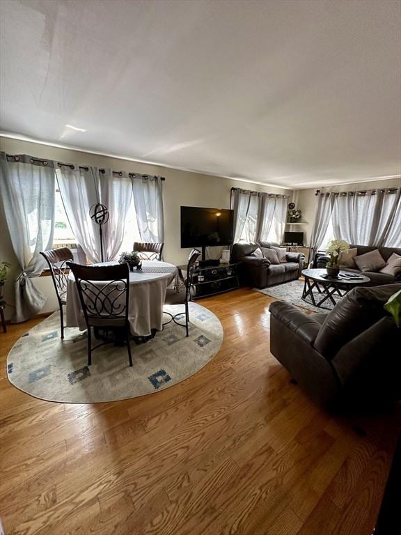 334 Howard St Unit 5, Lawrence, MA 01841 - living room featuring wood finished floors