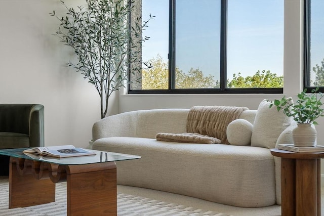 sitting room featuring plenty of natural light
