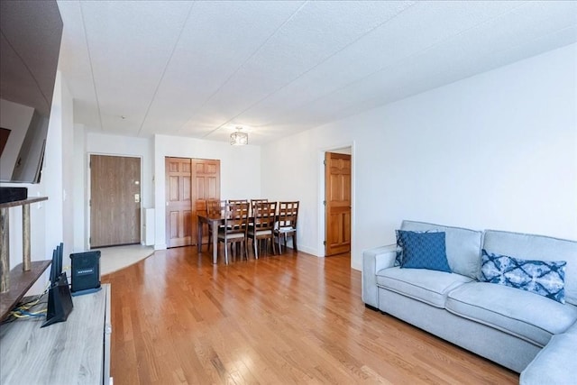 living area featuring light wood-style floors