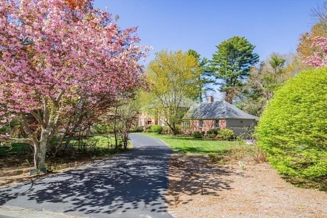 view of road with driveway