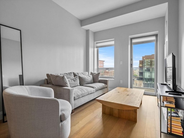 100 Shawmut Ave Unit 709, Boston, MA 02118 - living room with wood finished floors
