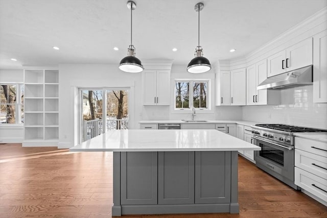 kitchen featuring plenty of natural light, a sink, under cabinet range hood, and high end stainless steel range