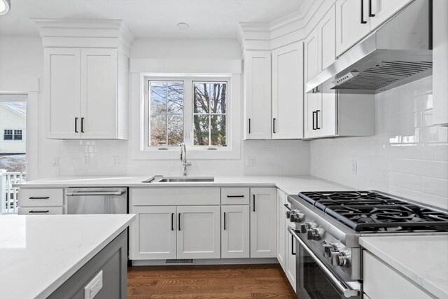 kitchen with dark wood-style floors, light countertops, appliances with stainless steel finishes, a sink, and under cabinet range hood