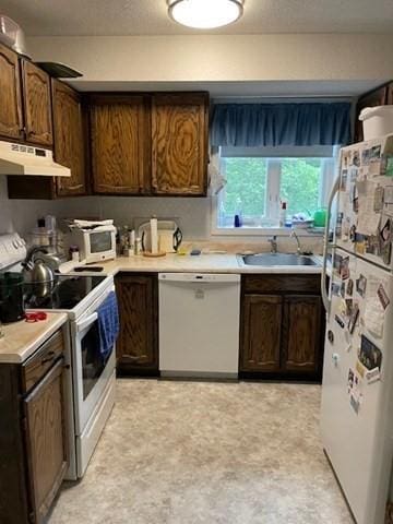 4 Duck Pond Rd Unit 219, Beverly, MA 01915 - kitchen featuring white appliances, under cabinet range hood, light countertops, and dark brown cabinetry