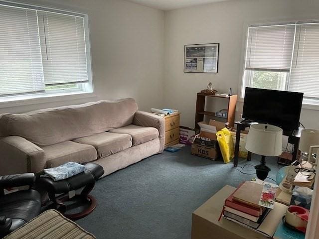 4 Duck Pond Rd Unit 219, Beverly, MA 01915 - carpeted living room featuring plenty of natural light