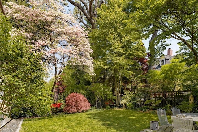 view of yard