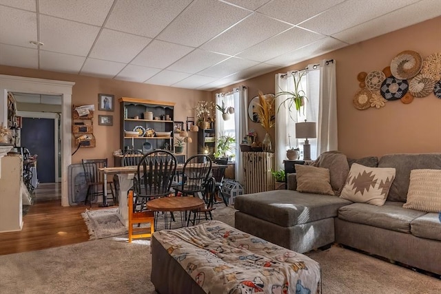 living room with wood-type flooring, radiator, and a drop ceiling