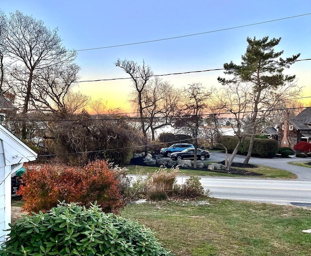 view of yard at dusk