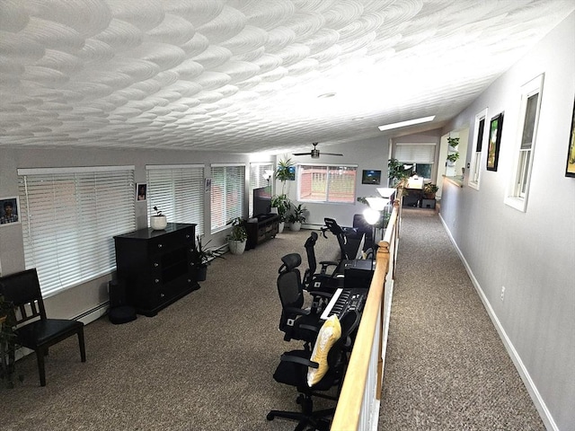 exercise room with baseboards, carpet, vaulted ceiling, a textured ceiling, and a baseboard radiator