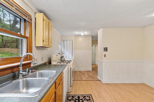 10 Worcester Rd, Townsend, MA 01469 - kitchen with white gas range oven, a sink, light wood-type flooring, wainscoting, and dark countertops