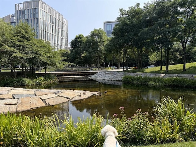 view of community featuring a water view