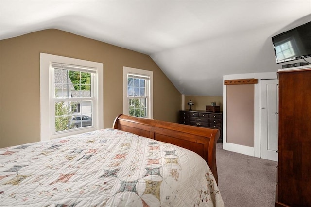 19 E St, Grafton, MA 01536 - bedroom with carpet and lofted ceiling